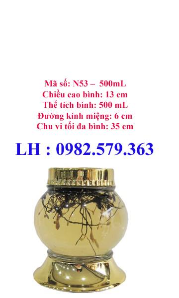 B&Igrave;NH N53|500ML