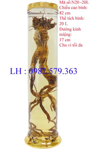 B&Igrave;NH N20| 20 L&Iacute;T