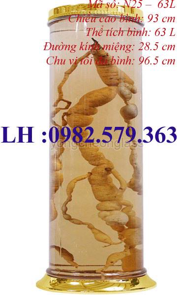 B&Igrave;NH N25|63 L&Iacute;T