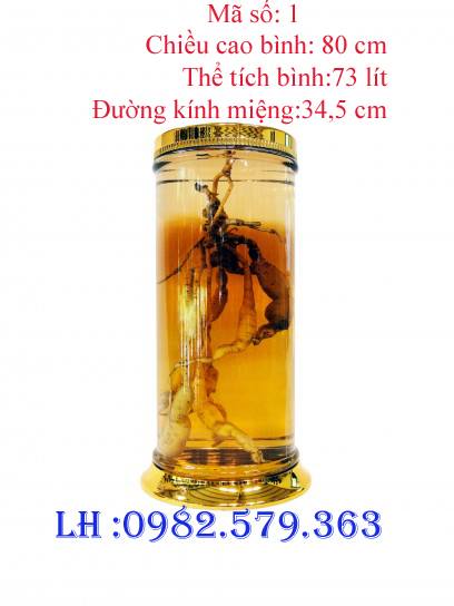 B&Igrave;NH N01| 73 L&Iacute;T