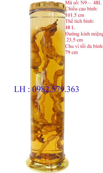 B&Igrave;NH N19| 44,5 L&Iacute;T
