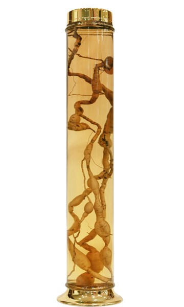 Catalog Product Demo 1